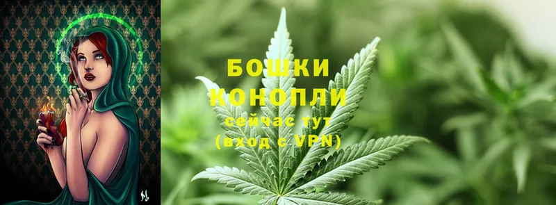 мега как войти  Богородицк  Бошки Шишки Bruce Banner  хочу наркоту 